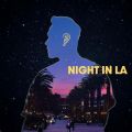 HOYA̋/VO - Night in LA
