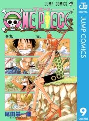 dq - ONE PIECE mN 9 / chY
