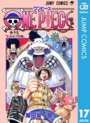 dq - ONE PIECE mN 17 / chY