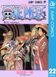 dq - ONE PIECE mN 22 / chY