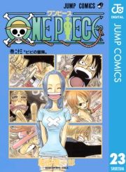 dq - ONE PIECE mN 23 / chY