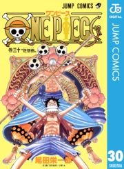 dq - ONE PIECE mN 30 / chY