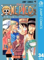 dq - ONE PIECE mN 34 / chY