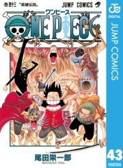 dq - ONE PIECE mN 43 / chY