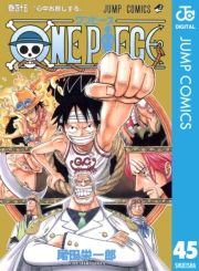 dq - ONE PIECE mN 45 / chY