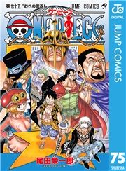 dq - ONE PIECE mN 75 / chY