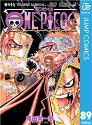 dq - ONE PIECE mN 89 / chY