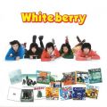 Ao - GOLDENBEST  Whiteberry / Whiteberry