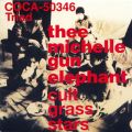 Ao - cult grass stars / THEE MICHELLE GUN ELEPHANT