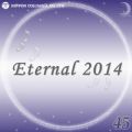 Ao - Eternal 2014 45 / IS[