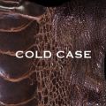 COLD CASE ( lipper )