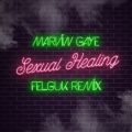 Marvin Gaye̋/VO - Sexual Healing (Felguk Remix)