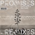 Calvin Harris/Sam Smith̋/VO - Promises (Extended Mix)
