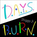 Shiggy JrD̋/VO - D.A.Y.S.