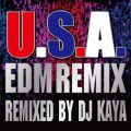 DA PUMP̋/VO - U.S.A.EDM Remix (Remixed by DJ KAYA)