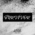 }̋/VO - SURVIVOR (New Mix)