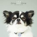 Ao -   One on One Collaboration /  