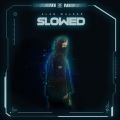 Alan Walker̋/VO - Faded (Slowed Remix)
