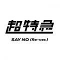 }̋/VO - SAY NO (Re-ver.)