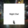 Rye̋/VO - Night Owl