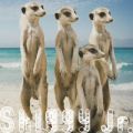 Shiggy JrD̋/VO - keep on raining (instrumental)