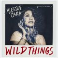 Ao - Wild Things (The Remixes) / AbVAEJ[