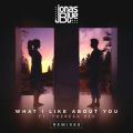 What I Like About You featD Theresa Rex (Remixes)