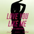 VFl̋/VO - Love You Like Me feat. Konshens (FlipN'Gawd Remix)