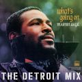 Ao - Whatfs Going On: The Detroit Mix / }[BEQC