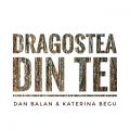 Dan Balan̋/VO - Dragostea Din Tei feat. Katerina Begu