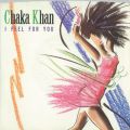 Chaka Khan̋/VO - I Feel for You (Edit)