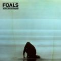 Ao - What Went Down / Foals