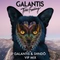 Galantis̋/VO - True Feeling (Galantis & shndo VIP Mix)