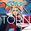 Ava Max̋/VO - Torn (Cirkut DJ Mix)